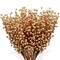 24-Pack: Vibrant Gold Holly Berry Stem Picks with 35 Berries by Floral Home&#xAE;